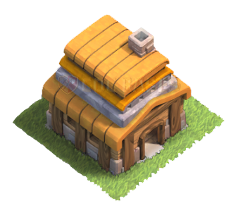 Town Hall 4